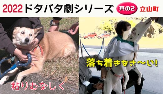 2022狂犬病予防注射会場 ドタバタ劇シリーズ 其の２・立山町