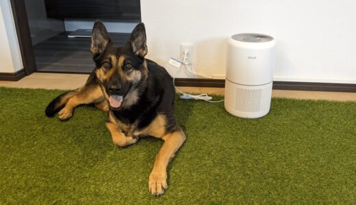 大型犬を室内飼いしてもニオイに困らない空気清浄機、見つけました！【Levoit Core 300S】