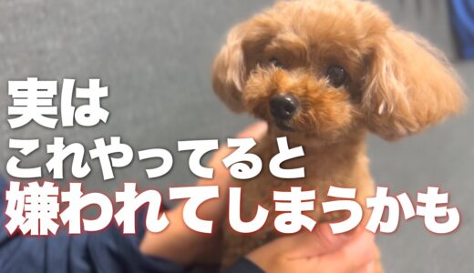 愛犬に対して実はやってはいけないこと　犬が嫌がること