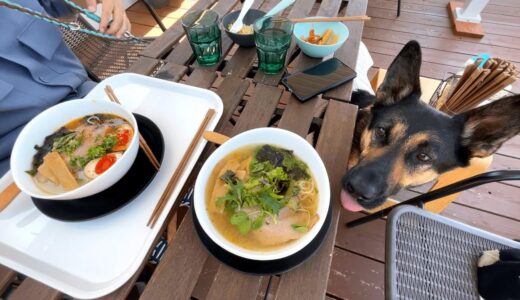 犬連れで食べれるラーメン屋があると聞いたので、行ってみた！【シェパード】