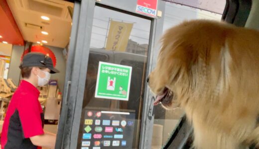 ドライブスルーで運転席に犬がいたら…