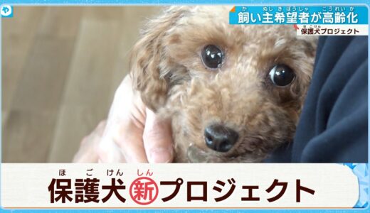 【保護犬プロジェクト】飼い主希望者が高齢化　その備えは…