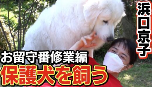 【新】浜口京子が保護犬を飼う「お留守番修業編」