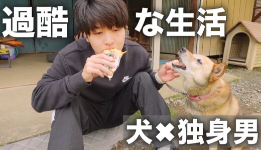 犬と暮らすぼっちネオニートの忙しすぎる平日ルーティン【田舎暮らしvlog】