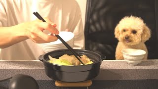 犬と過ごす一人暮らし独身男の温かい夜/トイプードル