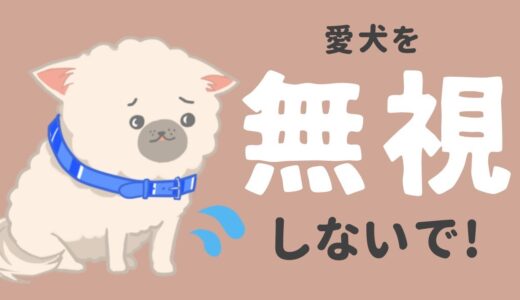 犬が無視されたと誤解しやすい飼い主の行動