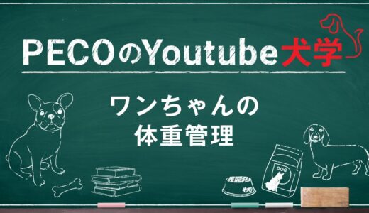 PECOのYoutube犬学～ワンちゃんの体重管理～