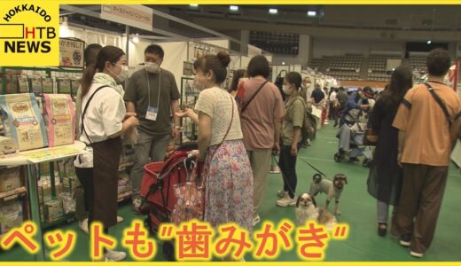 犬の“歯磨き”も　ペットフェスティバル賑わう