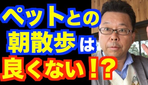 犬の散歩は朝散歩の効果を台無しにするのか？【精神科医・樺沢紫苑】