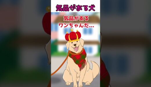 【ネタ】気品がある犬 #shorts