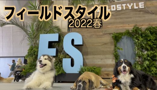 大型犬連れてフィールドスタイル！