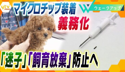 大切な“家族”を守れ！犬・猫にマイクロチップ“装着義務化”で変わるペットの“未来”とは―