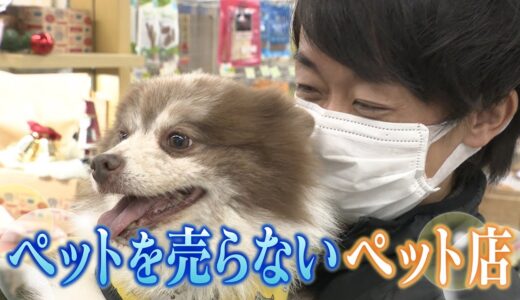 【なぜ】ペットを売らないペットショップ　犬のケアやサービスに注力【兵庫･宝塚】