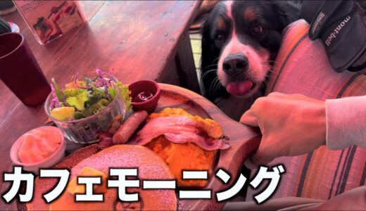 犬連れカフェモーニング