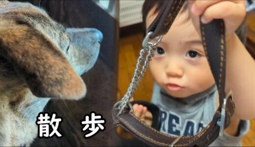 早く散歩に行きたい犬と子供　獣避けの光る奴を取り付けました