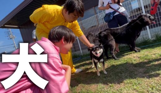 ラランドの犬ロケ密着