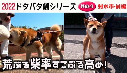 2022狂犬病予防注射会場 ドタバタ劇 其の４・射水市前編