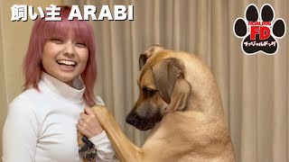 【大型犬５匹】実はここだけの話…グレートデン子犬