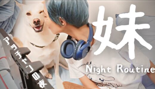 【ナイトルーティン】妹アッチャン犬と夜の習慣～