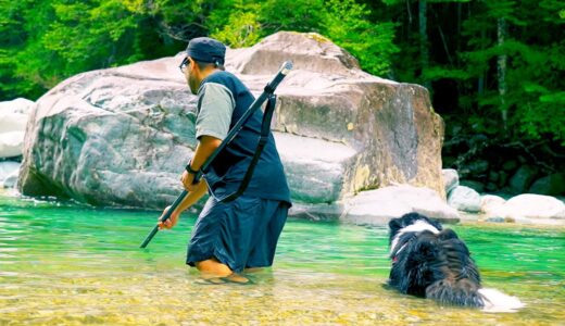 大型犬たちとキャンプに行ったら感動の救出劇がありました