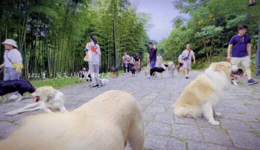 带上新老学员到山里度假咯【犬道app】