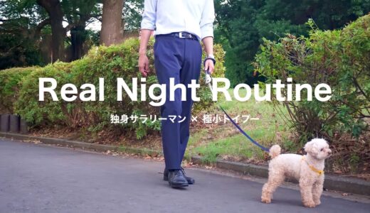 【ナイトルーティン】都内一人暮らしで犬を飼う社会人男の平日夜