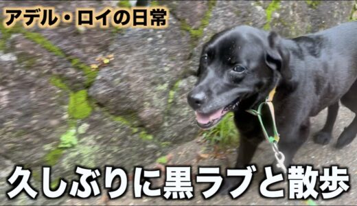 この感覚は懐かしいなぁ