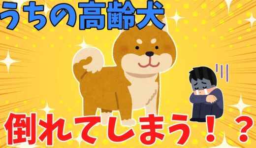 【2ch面白いスレ】うちの高齢犬 倒れてしまう！？