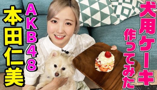 【犬用ケーキ】AKB48・本田仁美が愛犬に手作りケーキを作ってみた！新曲「元カレです」での初センターや韓国での食生活についても語ります【料理動画】