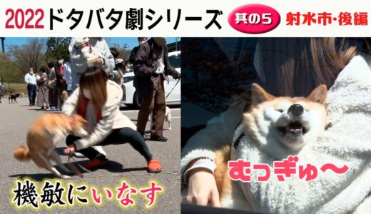 2022狂犬病予防注射会場のドタバタ劇・其の５　射水市後編