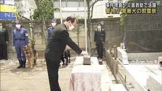 警察犬の慰霊祭　「仲間として」捜査・捜索に活躍(2022年7月11日)