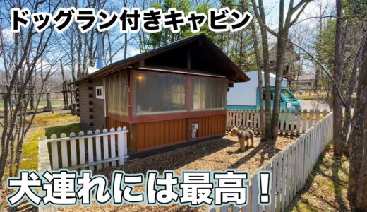 犬と旅している途中ですが何処へも出かけずのんびりする１日 in北軽井沢スウィートグラス【1人と2匹旅：13日目後編】