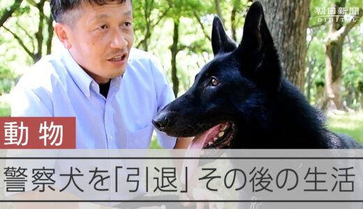 引退なき警察犬　最期の１年、老いる相棒を前に鑑識課員は決意した