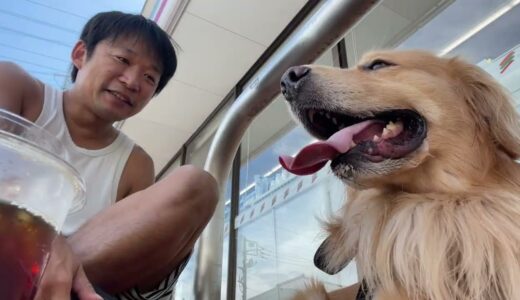 アムロのセブン犬挑戦・・・