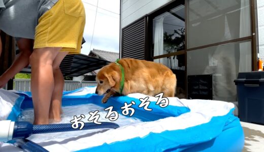 水恐怖症の犬を飼い主の愛情でなんとか克服させる動画。