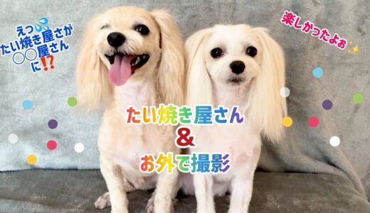 【犬のたい焼き屋さん】最後は◯◯屋さんになっちゃいましたぁ💦