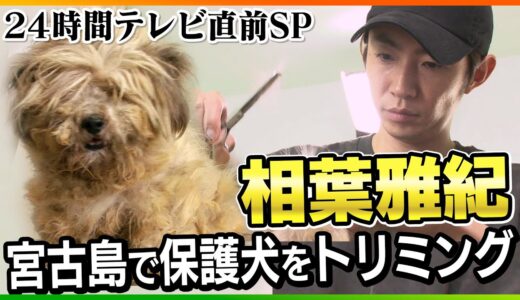 【２４時間テレビ直前SP】相葉雅紀が宮古島で出会った保護犬をトリミング