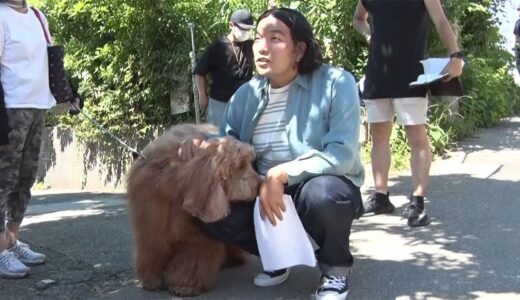 見取り図・盛山晋太郎、共演した犬がそっくり!?「髪形が…」CMで名コンビぶり披露　日本郵便「ゆうパケットポスト」新CM＆メーキング