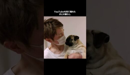 30代独身男が犬を飼ったら親友になった