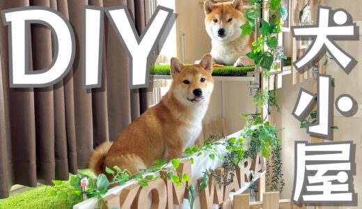 素人匠によるテラス付き３階建て犬小屋。DIY劇的リメイク術