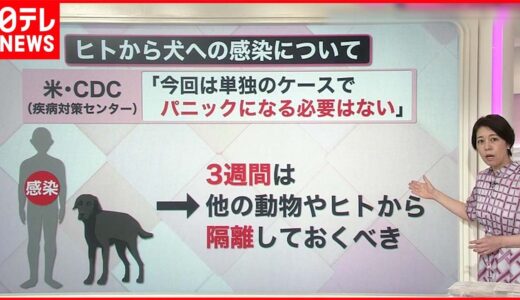 【解説】サル痘“人から犬に感染”初確認  ペットとの接し方・注意点は？