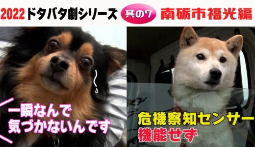 2022狂犬病予防注射会場のドタバタ劇・其の7 南砺市福光編