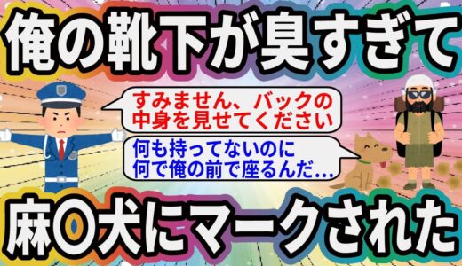 俺の靴下が臭すぎて麻〇犬にマークされた【2ch面白いスレ】