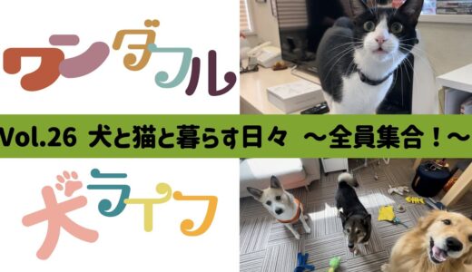 ワンダフル犬ライフ　〜Vol.26 犬と猫と暮らす日々　全員集合！〜