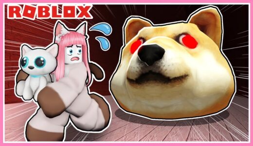 巨大な犬の顔が襲ってくる！?子猫を無事に救い出せ💨💦【ロブロックス / Roblox】【たまちゃん】