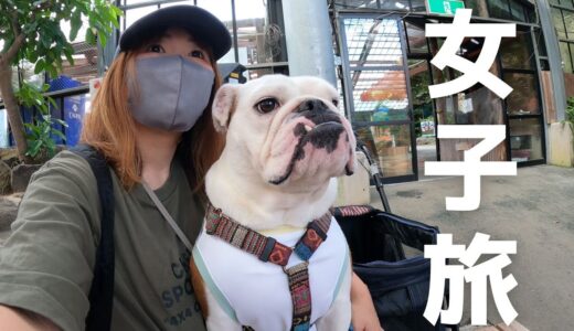 ママと妹犬だけで行く女子旅が楽しすぎたのでもう家に帰らないかもWWW!