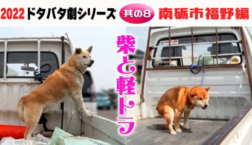 2022狂犬病予防注射会場のドタバタ劇・其の８南砺市福野編