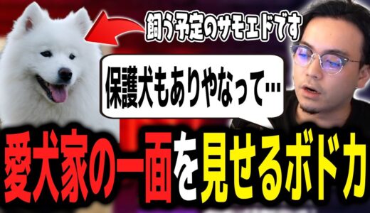 犬を飼うにあたって「保護犬も考えた」愛犬家な一面を見せるボドカ【ボドカ／切り抜き】