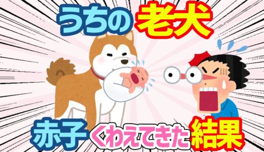 【2ch動物ほのぼの話3連発】うちの老犬が産まれたての赤ちゃんをくわえて帰ってきた→その後