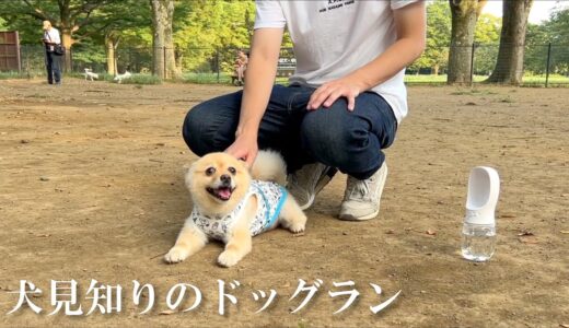 犬見知りの愛犬をドッグランに連れて行ったのですが…